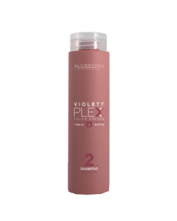 Champú Protector del Color VIOLETT PLEX 2 Shampoo color care 250ml