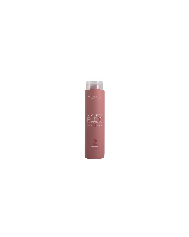 Champú Protector del Color VIOLETT PLEX 2 Shampoo color care 250ml