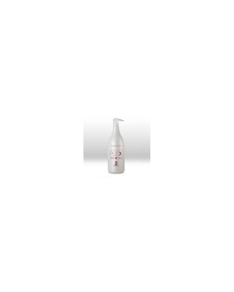 Champú Protector del Color VIOLETT PLEX 2 Shampoo color care 1000ml