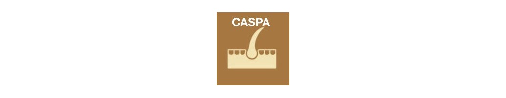 Caspa