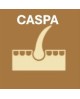 Caspa