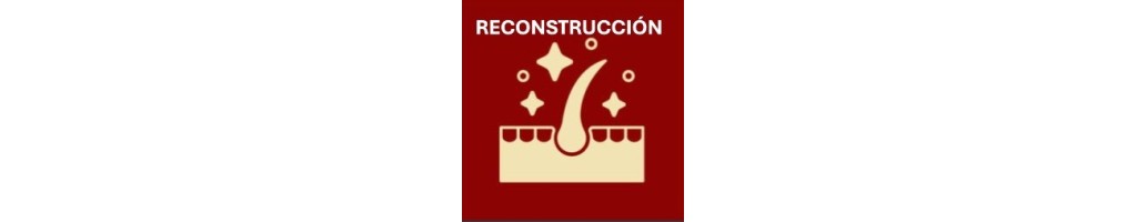 Reconstrucción